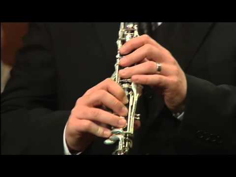 Sozvočja Slovenije - koncert (Marko Banda 17/  )