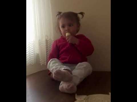 HOÇWAN TV - maymundan sonra ilk insan