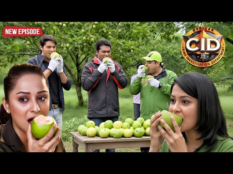 পেয়ারা বাগানে পৌঁছেছে সিআইডি টিম - নতুন তদন্ত শুরু | Best Of CID | Latest Episode 2025