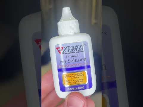 Dog Ear Infection? How to Use Zymox Otic for Itch Relief