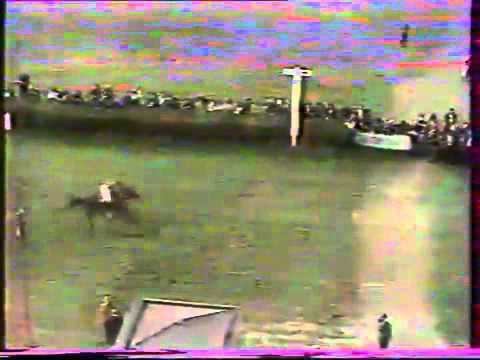 92. Velká pardubická steeplechase - 1982