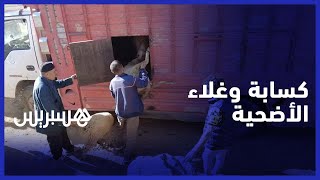 استعدادات كسابة باقليم أزيلال  للتنقل للمدن الكبرى من أجل بيع الأضاحي "الثمن خيالي العافية شاعلة" thumbnail