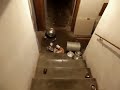 Opening To Ratatouille 2007 Korean VHS