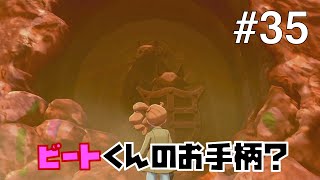 【ポケモンソードシールド #35】壊された遺跡から新たな遺跡発見！？【ゲーム実況】