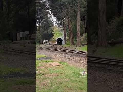 A few different Steam Train whistles, at Puffing Billy Emerald & Lakeside. Victoria, Australia.