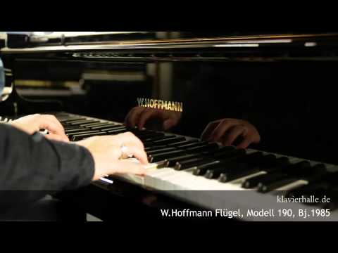 W.Hoffmann Flügel, Model 190 | Chopin - Nocturne e moll