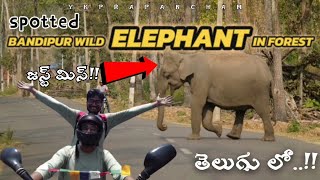 Bike Ride to ooty in telugu || Bandipur tiger reserve🐘||Elephant Attack🐘🥵|| Ooty day-1👌#ooty #vlogs