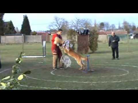 Hazard Van 't Muizenbos NVBK Competition Cat1 2009 at HT Nijlen