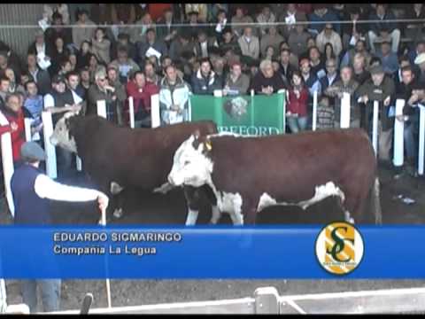 EDUARDO SIGMARINGO - Cabaña: La Legua - Cnel. Pringles - 26/09/2013