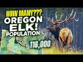 Oregon Elk Population - Where to Hunt and Find Bulls | Best Units