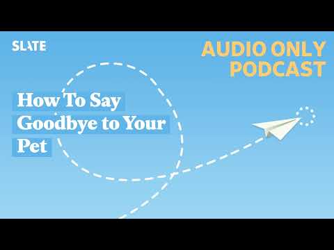 How To Say Goodbye to Your Pet | How To!