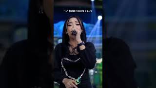 Download lagu kabut biru #shortvideo #lirik #liriklagu #shrots mp3