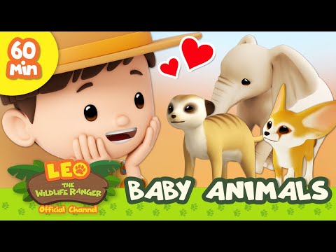 🍼 BABY Animals! 🍼 Sloth, Fennec Fox & More | Leo the Wildlife Ranger | Learn Animals | Kids Cartoons