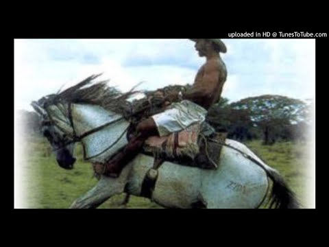 GABAN FARAMALLERO - El carrao de palmarito  FARAMALLERO