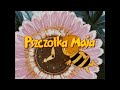 Maya The Bee Pszczółka Maja Polish OP ED Official DVD Remaster