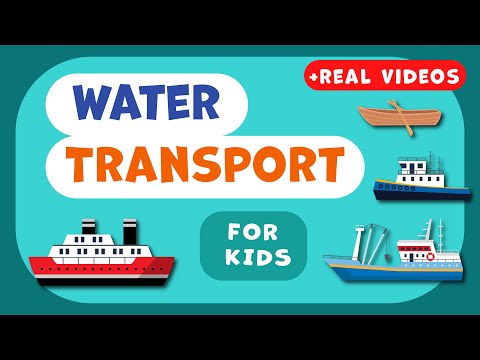 Water Transportation for Kids 🌊🚢 Learn About Boats & Ships!