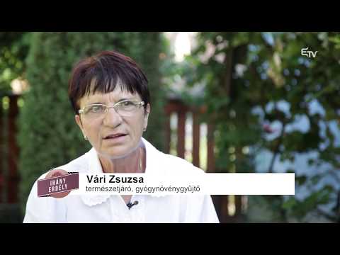 Irány Erdély! Irány Siménfalva! – 2015. november 9.