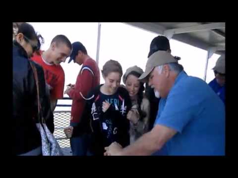 What Tha by Rodger Lovins - Trick