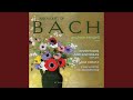 Was mir behagt, ist nur die muntre Jagd, BWV 208: No. 9, Sheep May Safely Graze (Arr. E. Petri...