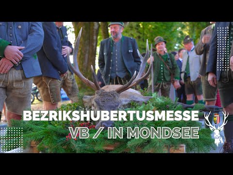 Bezirkshubertusmesse Vöcklabruck 2024 in Mondsee