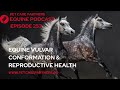 EP 253 Vulvar Conformation Reproductive Health In Horses Pet Care Partners