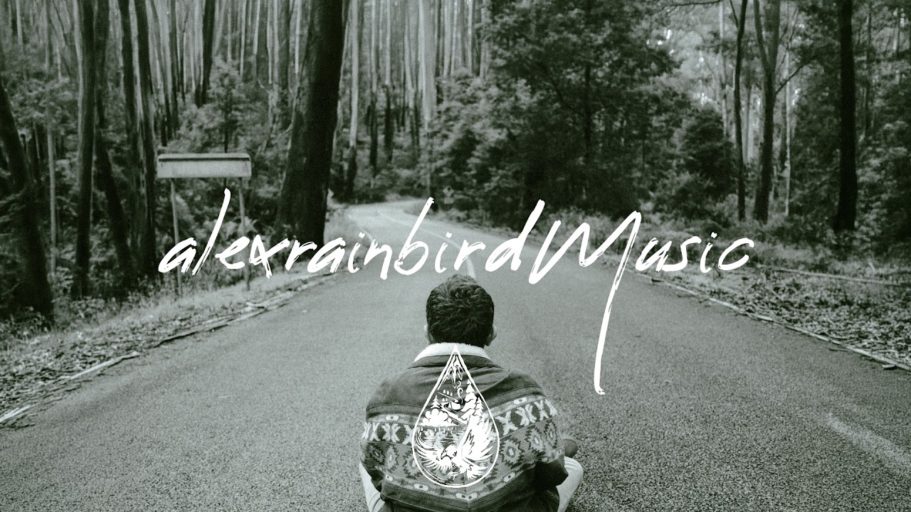Ryan Harris & The National Forest - every road
