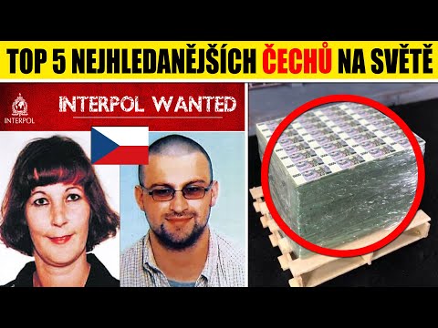 TOP 5 nejhledanějších ČECHŮ na světě