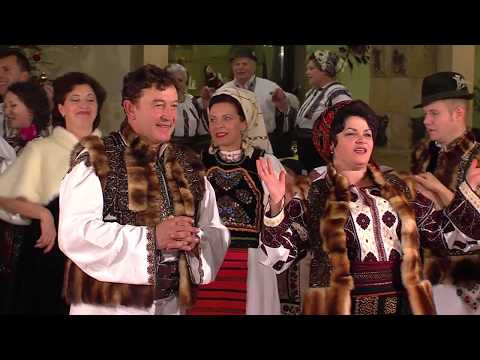 Nicoleta Hafiuc - Morarul