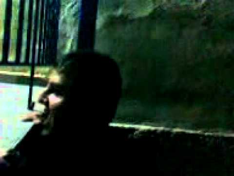 Zwis - Eimai Daskalos