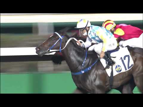 29/12/2021 (290) E Honey - Matthew Poon