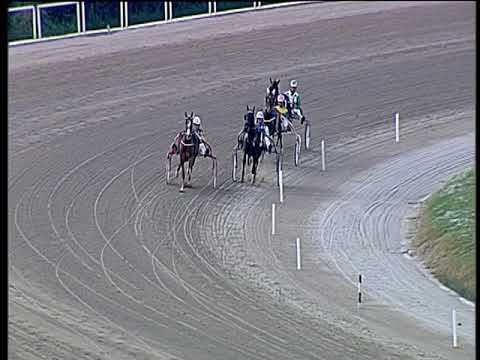 Trotto 29/10/2019 - prova di qualifica