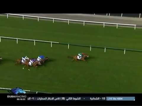 23.02.2012 Meydan (Dubai UAE) 6.Race Al Naboodah Construction Group - Conditions Race 1.800 m