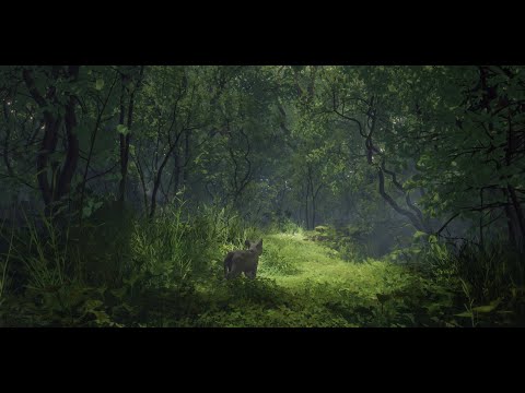 Flow Video7