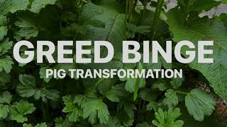 Greed Binge // Feedee Hypnosis