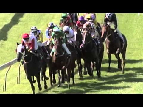 2005 AJC Derby- Eremein