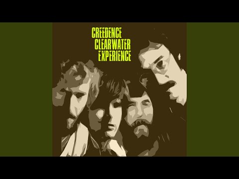 Looking out My Back Door