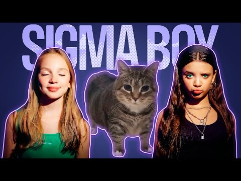 SIGMA BOY x CATS