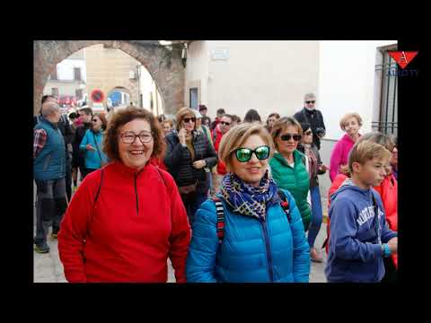 XIX Muestra del almendro en flor - Videoalbum - Alko Tv
