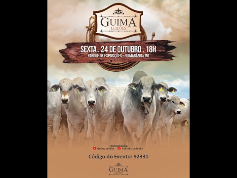 LEILÃO GUIMA LEILOES (24/10/2025 ) Leilão em Guimarânia MG