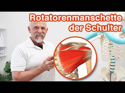 The rotator cuff of the shoulder ➡️ Anatomy, functions and problems