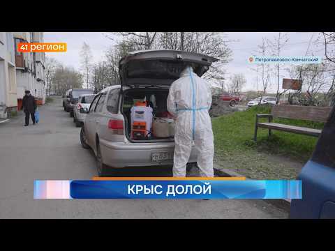 Новости Камчатки за 5 июня 2026 года