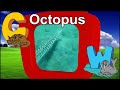 A Z Animals Animals Of The Alphabet Reupload