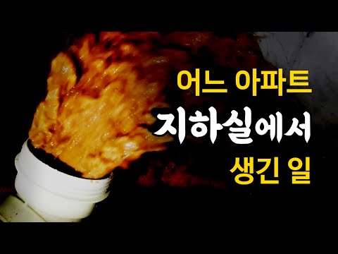 아이콘