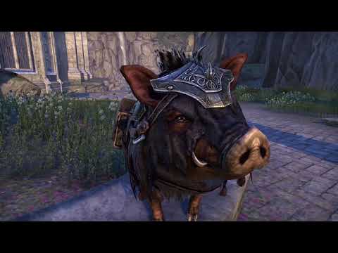 ESO Pet Showcase - Bristleneck War Boar Inventory Pet!