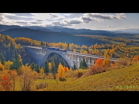 R5203 Mărășești- Miercurea Ciuc