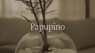 Papupino