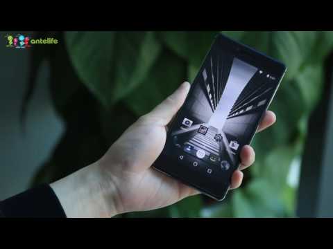 Fingerprint recognition Vernee Apollo