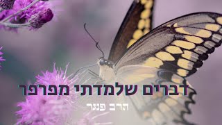 הרב פנגר - דברים שלמדתי מפרפר???? (הרב יצחק פנגר) - התמונה מוצגת ישירות מתוך אתר האינטרנט יוטיוב. זכויות היוצרים בתמונה שייכות ליוצרה. קישור קרדיט למקור התוכן נמצא בתוך דף הסרטון
