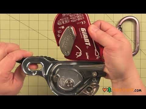 Camp Giant Desender - TreeStuff.com 360 View