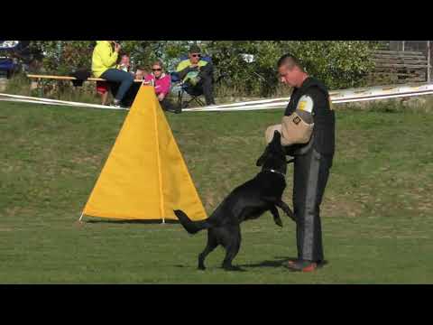 MM MSKS Zbraslav 2018 - Skořepa Libor - Cirra z Rexovy ohrady - obrana/defense